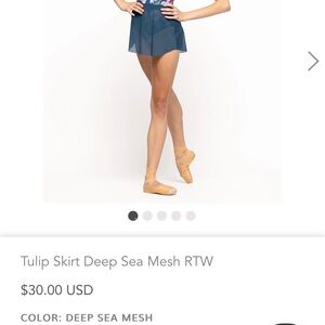 NWT - Eleve Dancewear Tulip Skirt